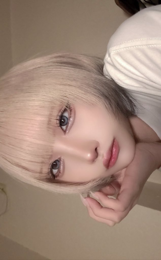 ALM【シュレ犬】 tweet media