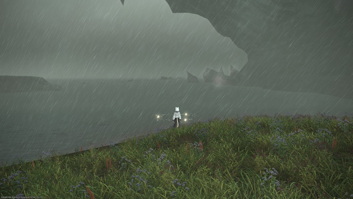 갈리크티스 이 미친새끼
오늘은 잡고만다