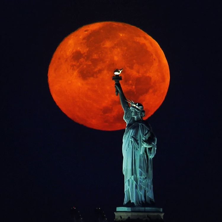 Dear Christian tweet media