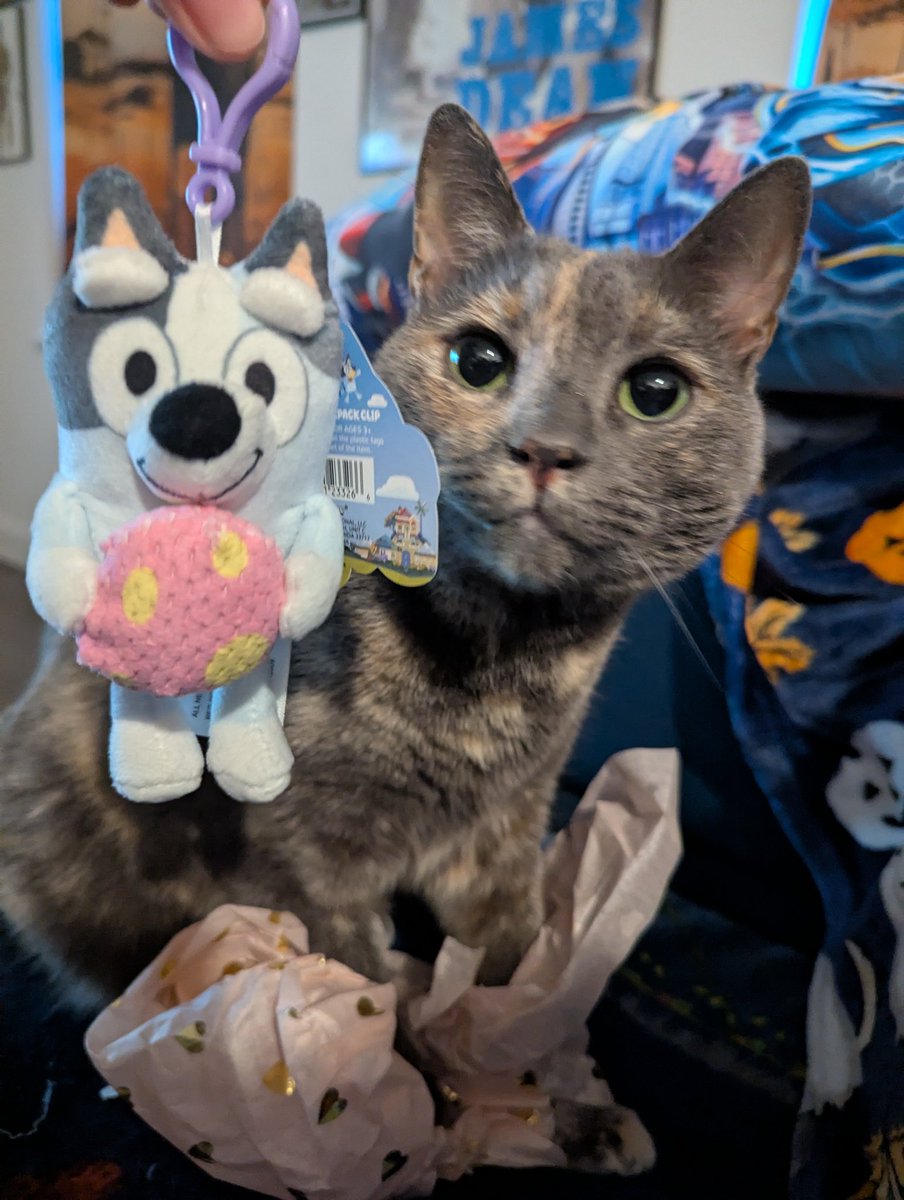 Maria Lynn tweet media