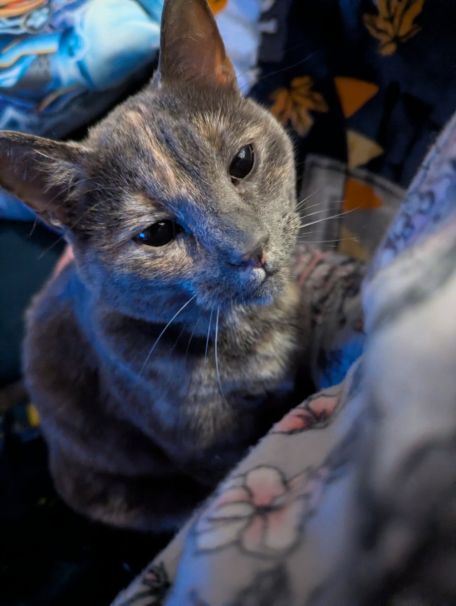 Maria Lynn tweet media