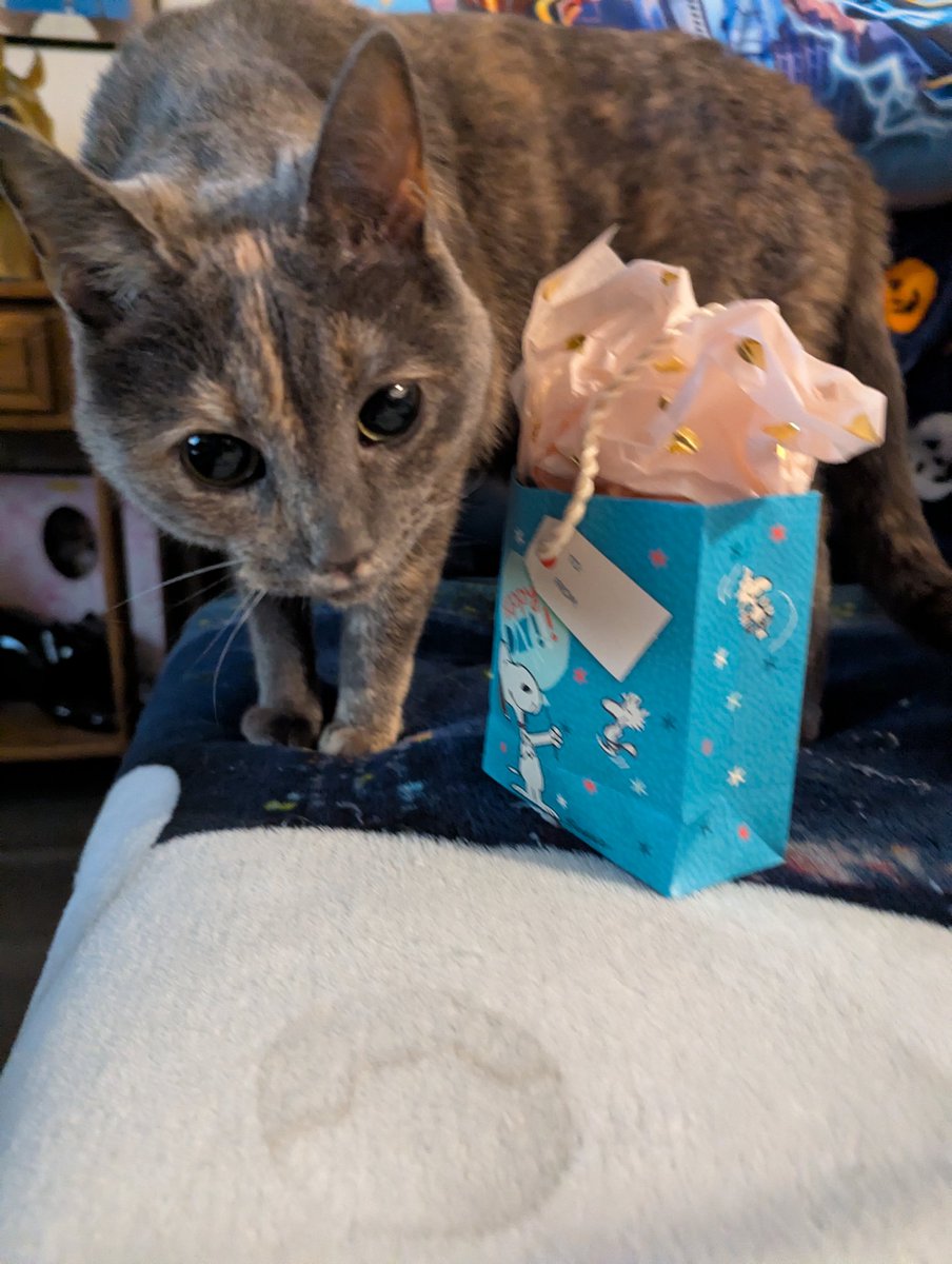 Maria Lynn tweet media