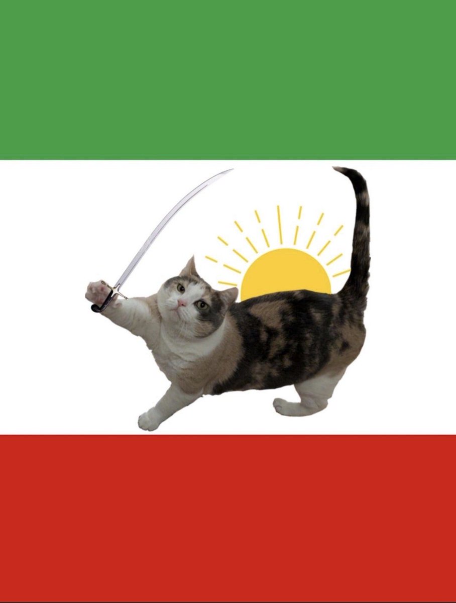 mah_rouz's tweet photo. رهبر من، آن گربه است. 
#freeiran https://t.co/Dq6mo2tbuI