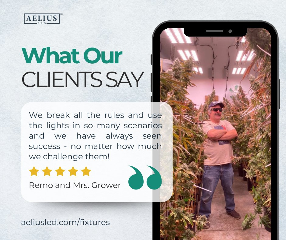 Aelius LED tweet media