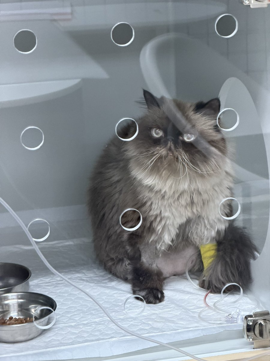 หน้าตาแบบ กุจะจำการทรยศครั้งนี้เอาไว้555555555655665555555555555555556666655555