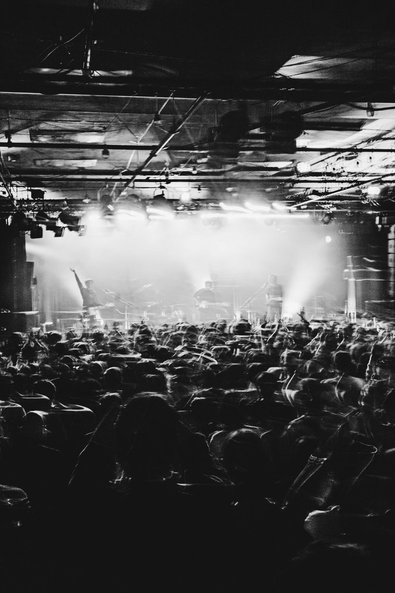 Soft Pine tweet media