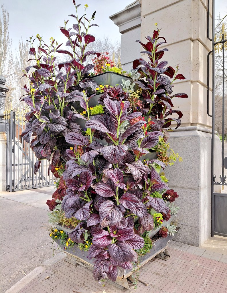 A.V. Retiro Norte tweet media