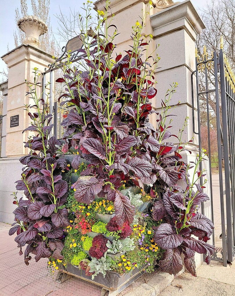 A.V. Retiro Norte tweet media