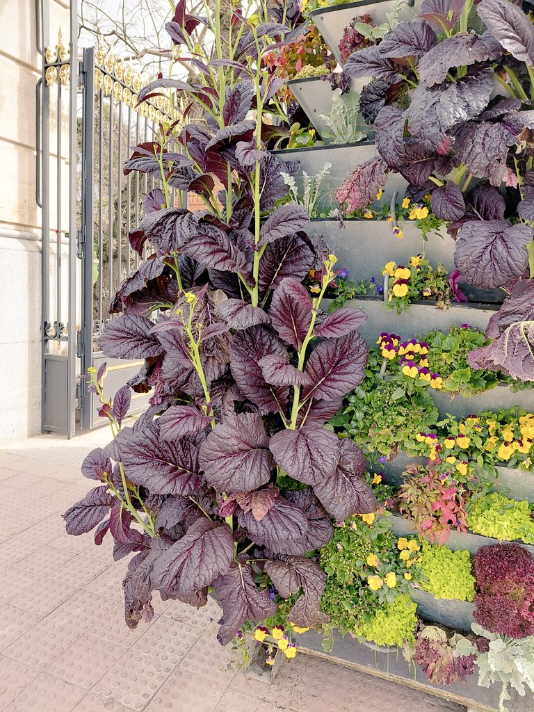 A.V. Retiro Norte tweet media