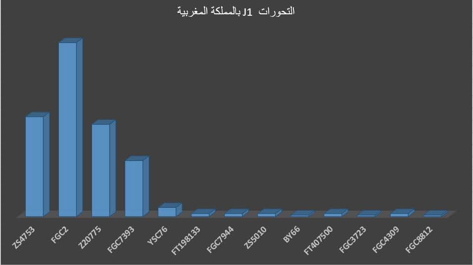 مشروع الجينوم المغربي tweet media
