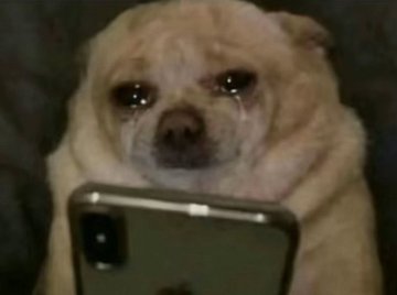 Nyinyi mnakaa Nairobi willingly 🤷🤷🤷