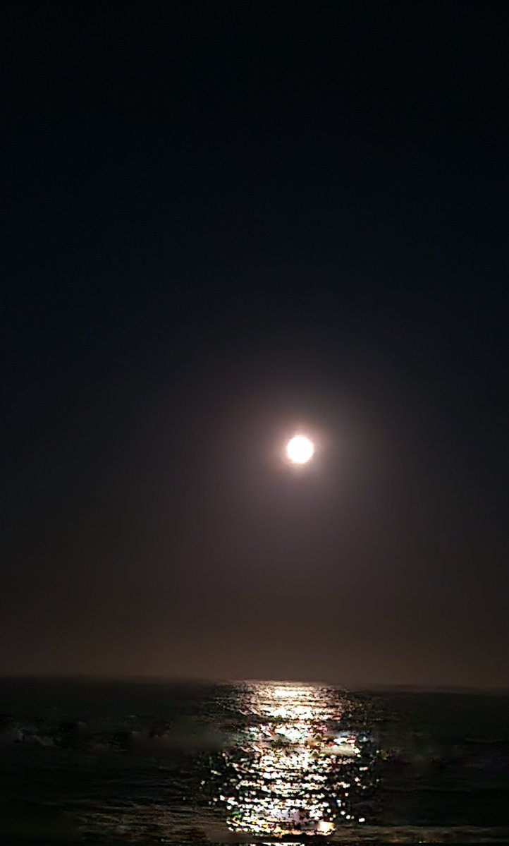 Gonzalo Codina 🇨🇱 tweet media