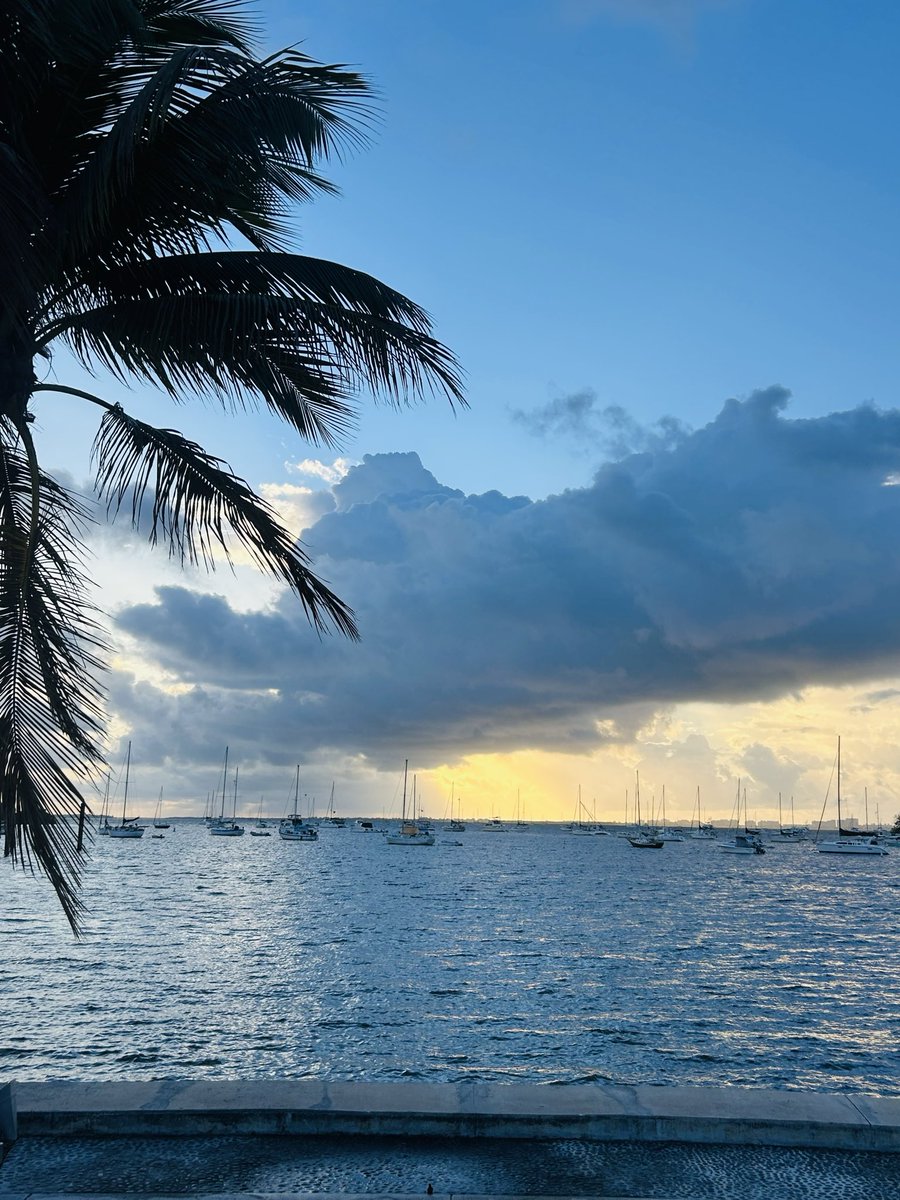 Jesse Marks tweet media