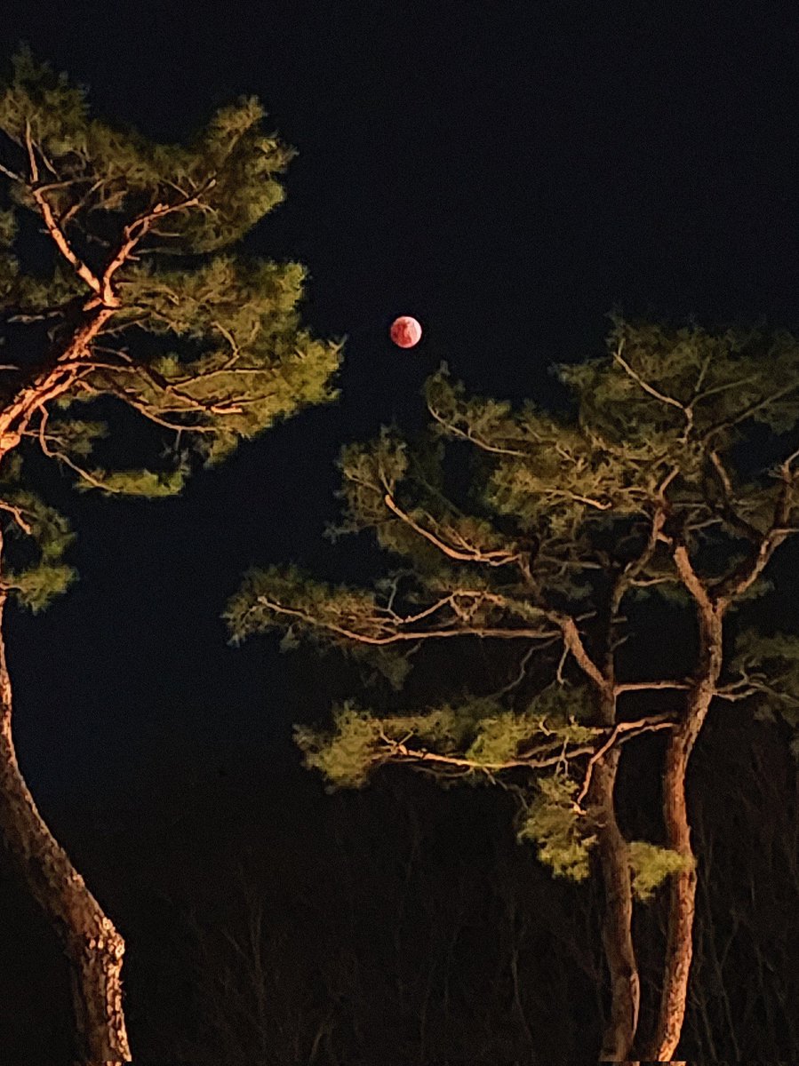 마법사 지망생 사담계 tweet media