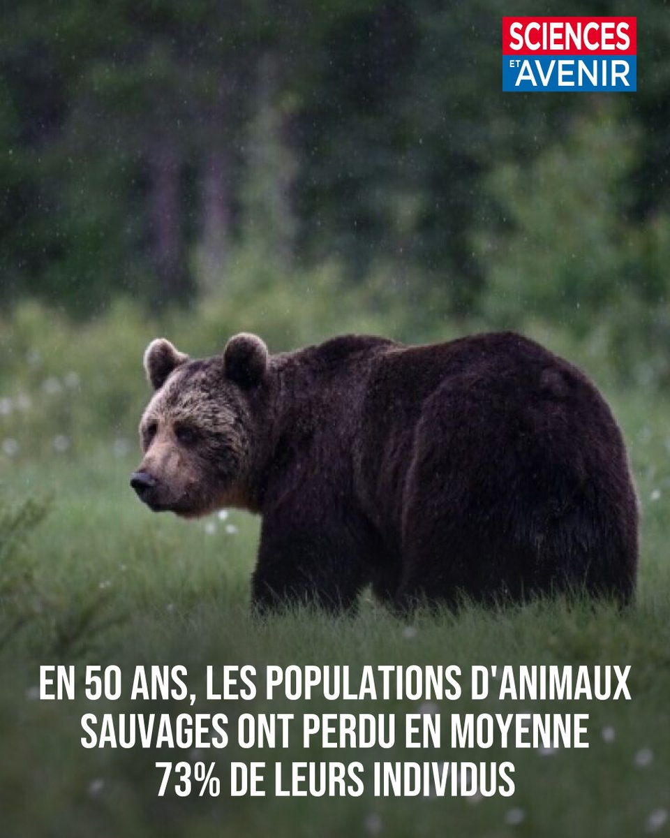 "Le tableau dépeint est incroyablement préoccupant" 
👉 l.sciencesetavenir.fr/rkG