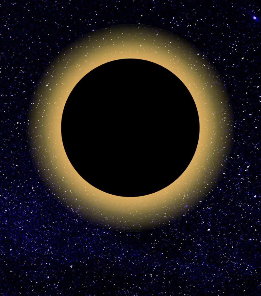 Ami Valladares 🧙♂️ tweet media