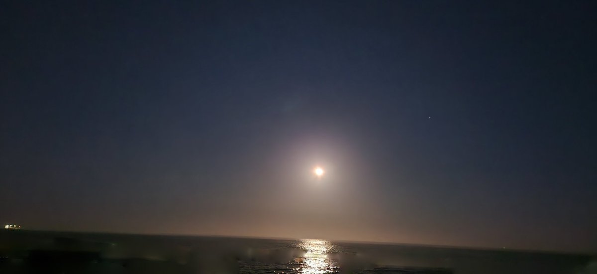 Gonzalo Codina 🇨🇱 tweet media