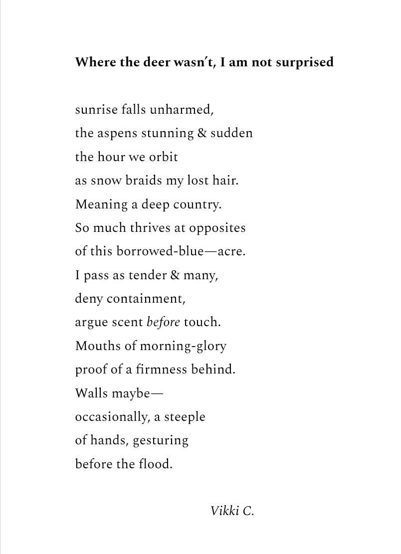 VWC_Writes's tweet image. Hello @TopTweetTuesday. For this week's challenge, here's my video reading alongside the written version of a new 60-word poem 'Where the deer wasn’t, I am not surprised'. 

Thank you @MatthewMCSmith &amp;amp; @blackboughpoems for the weekly inspiration. 

#poetrycommunity #spokenword
