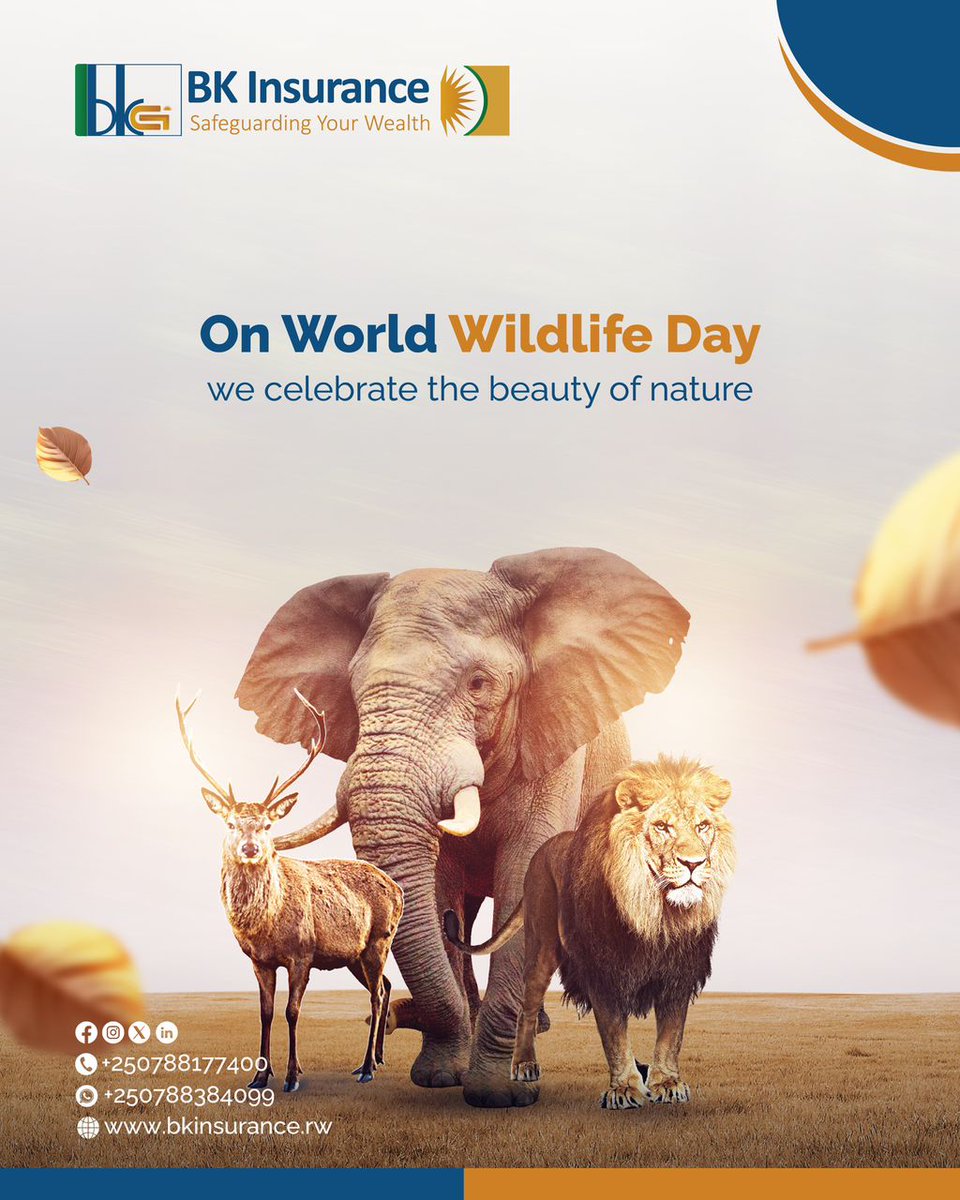 bkinsuranceltd's tweet photo. Today, we celebrate the diversity, and importance of wildlife around the world.
Healthy ecosystems support communities. Let’s all play our part in preserving biodiversity and respecting the natural world around us. 

🔗https://t.co/ZS8WkUvAYJ

#SafeguardingYourWealth https://t.co/wCNXmXyTIX