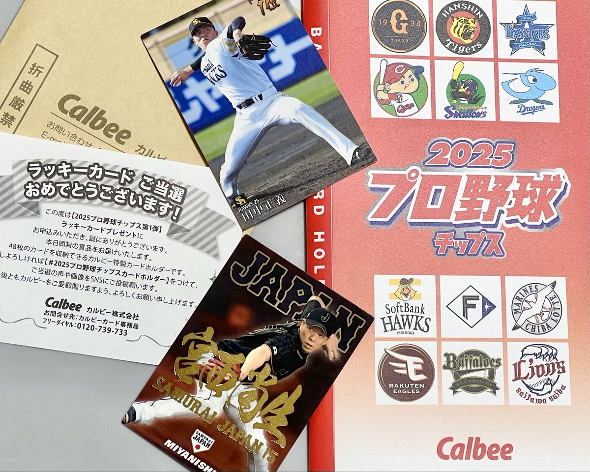 2025プロ野球チップスカードホルダー カルビーさん、ありがとうござい