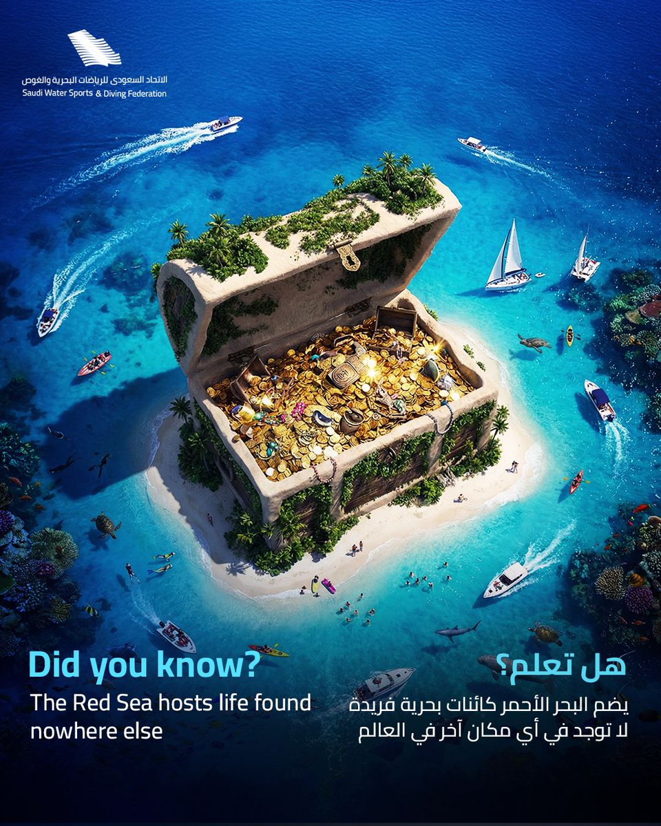 SWSDF | الاتحاد السعودي للرياضات البحرية و الغوص tweet media