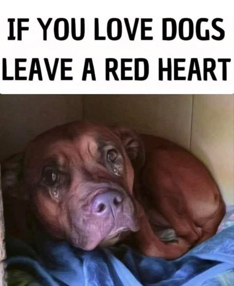 The Four Hearts tweet media