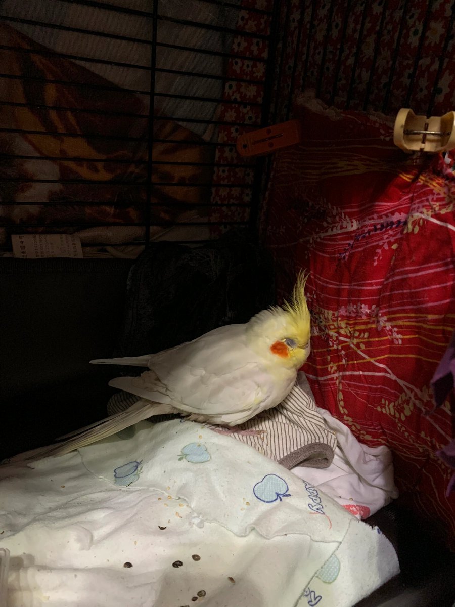 TKBit#6738nft tweet media