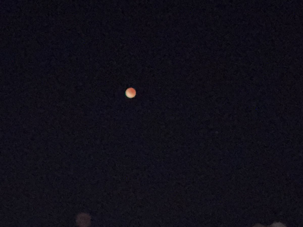 PPalizzolo's tweet photo. This eclipse was incredible to watch from beginning to end. The sky was as clear as a bell, not a cloud in the sky here in Tucson Az https://t.co/13ctICBArJ