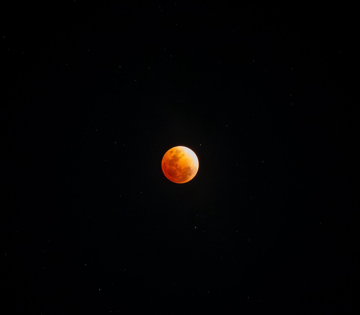 22josecastro's tweet photo. #lunareclipse2026 https://t.co/ExmHqclfiX