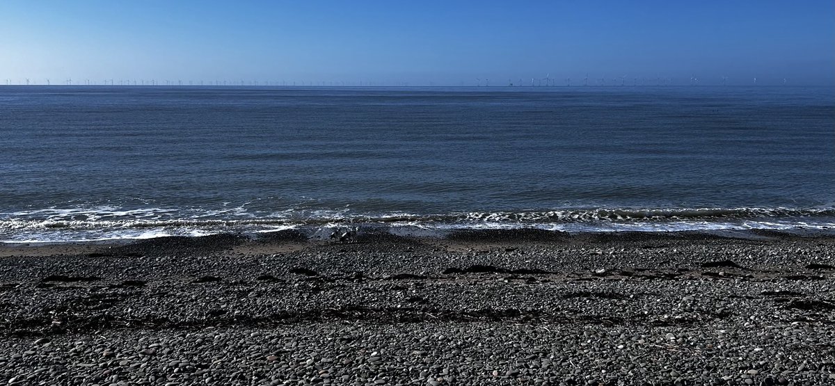 Cyclewise tweet media