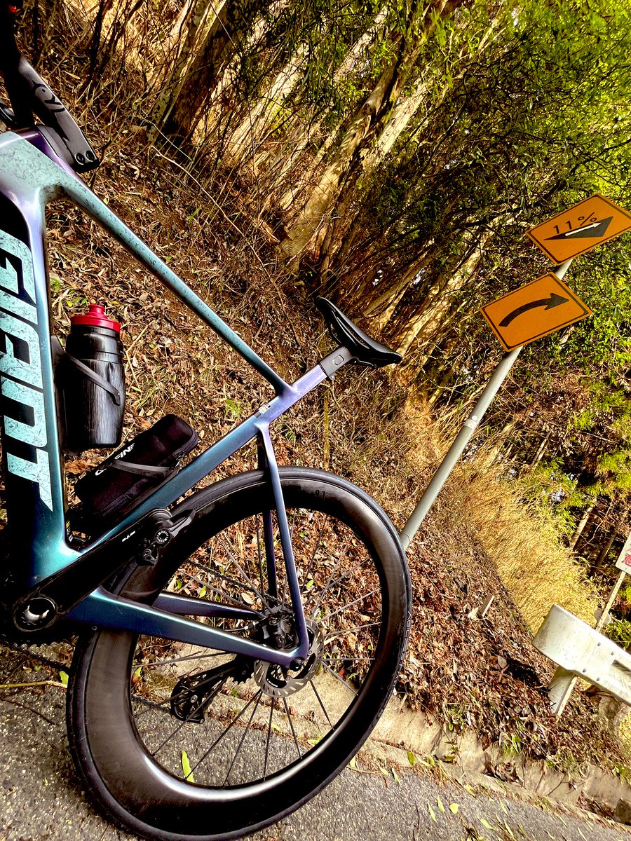 じゅんパパ@熱きサイヤ魂 tweet media