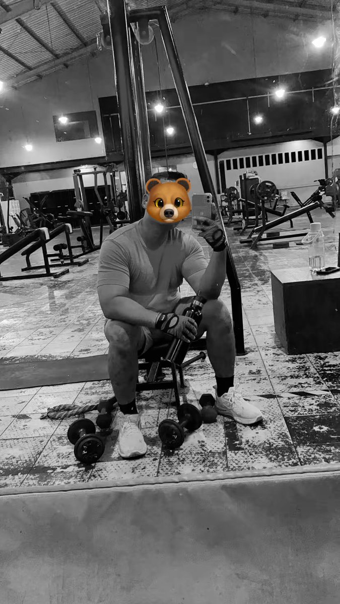 ryan21🐻 tweet media