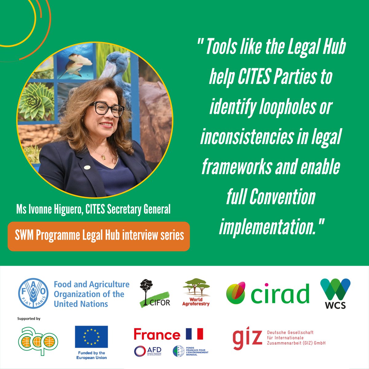 WCS Madagascar tweet media