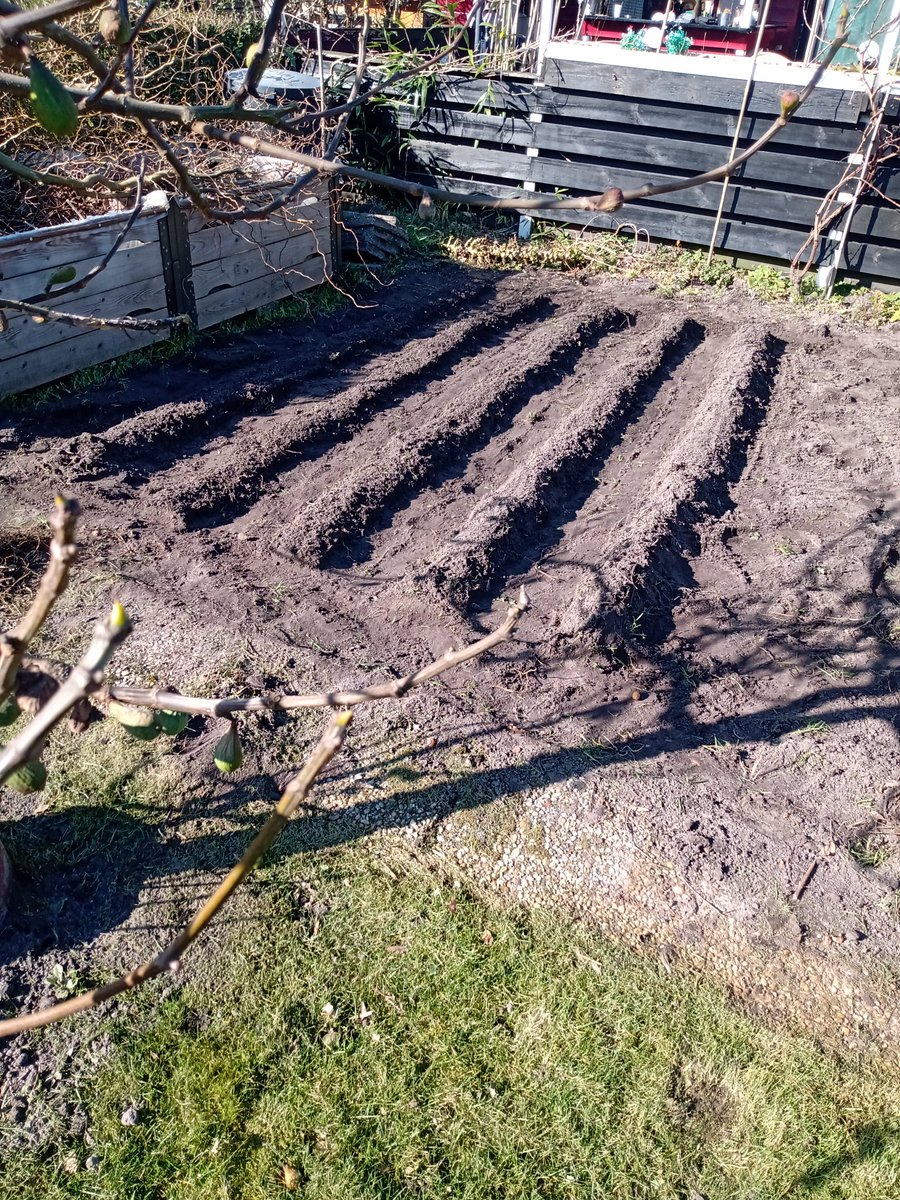 The smell of the Grass 👍and potatoes are in the ground. Slowly i have it under control 👊😉