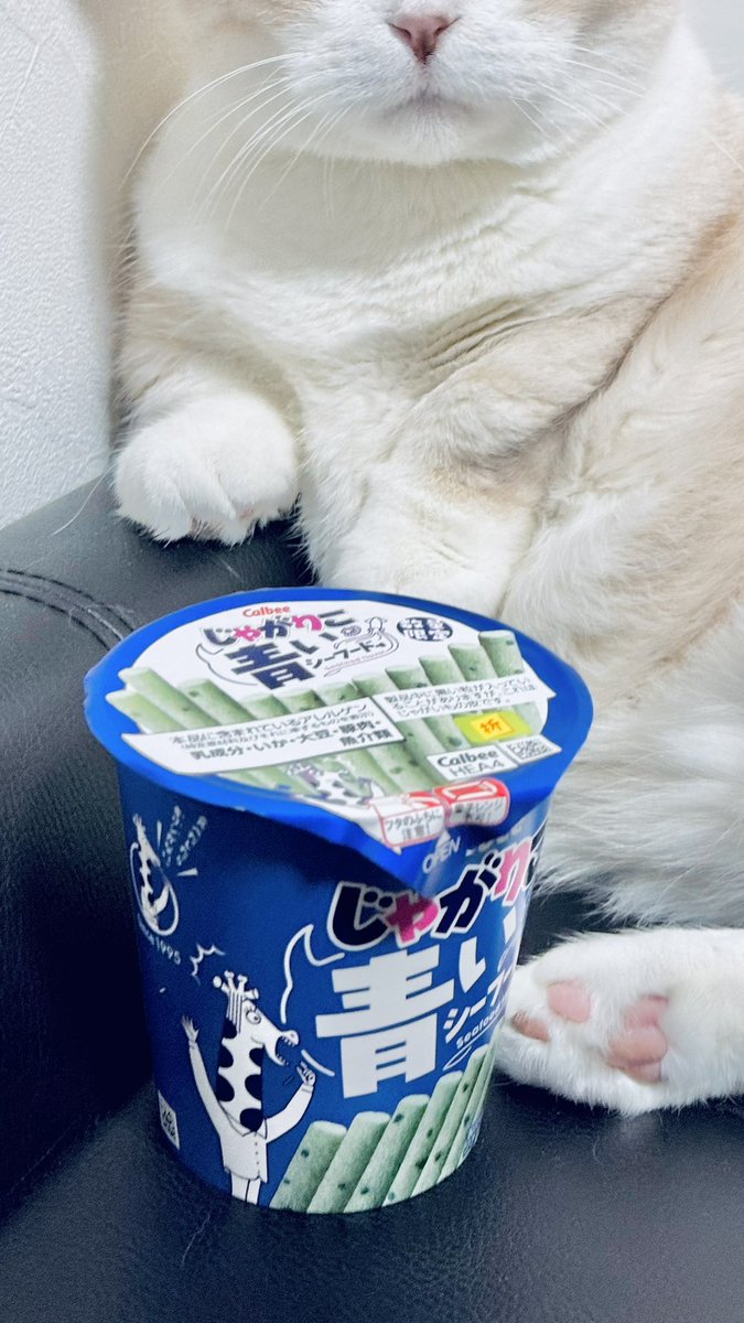 わさびぬこ tweet media