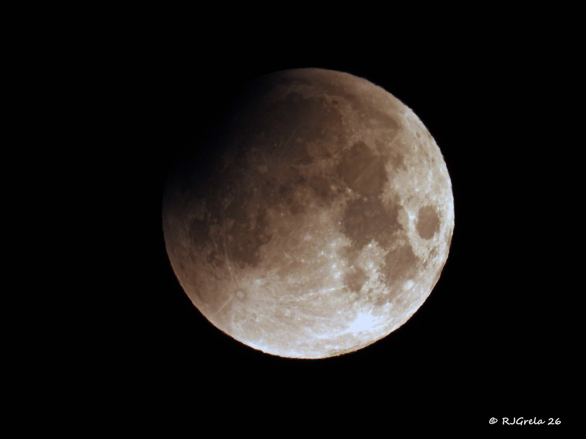 Ray Grela tweet media