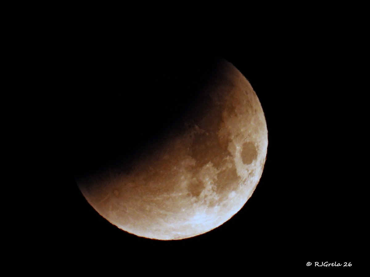 Ray Grela tweet media