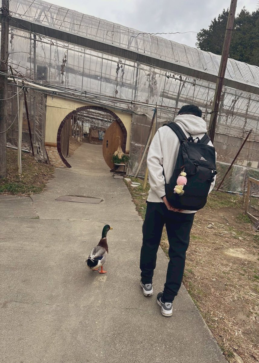 奥さんとペニワイとペックルで旅行楽しかった。