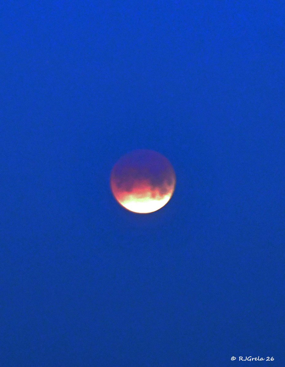 Ray Grela tweet media