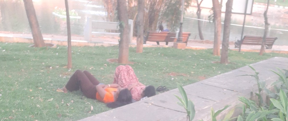 victory90148416's tweet image. Live from the park:
Boyfriend Market officially in recession. 📉
Investors (men) pulled out after reviewing:
• High risk
• Zero ROI
• Unlimited liability
Diversified portfolio = Peace + Gym + Savings.
MGTOW: Smart investing.
#ModernDating #MRA