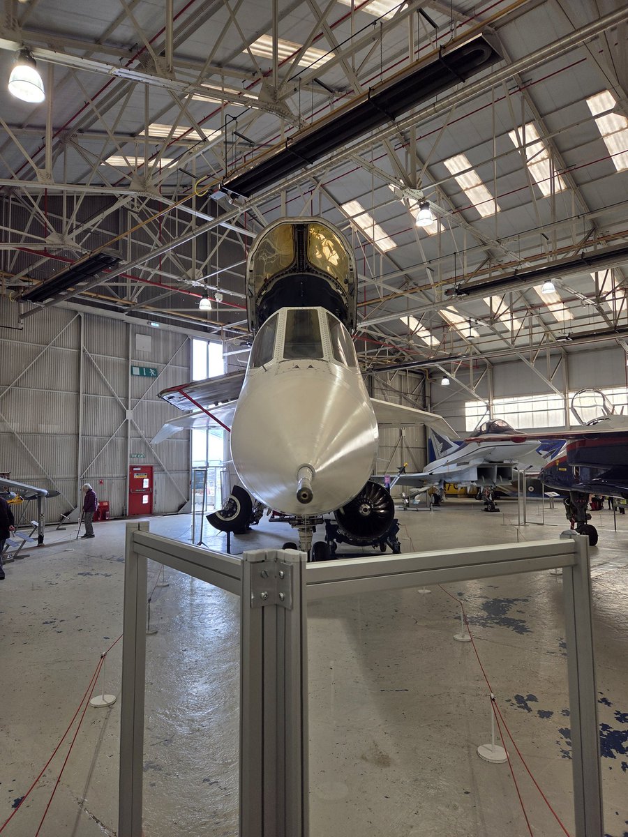 LordHardThrasher tweet media