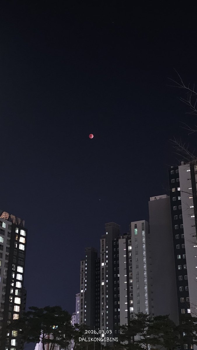 (콩프)달이콩이빈이🌙🫛 tweet media