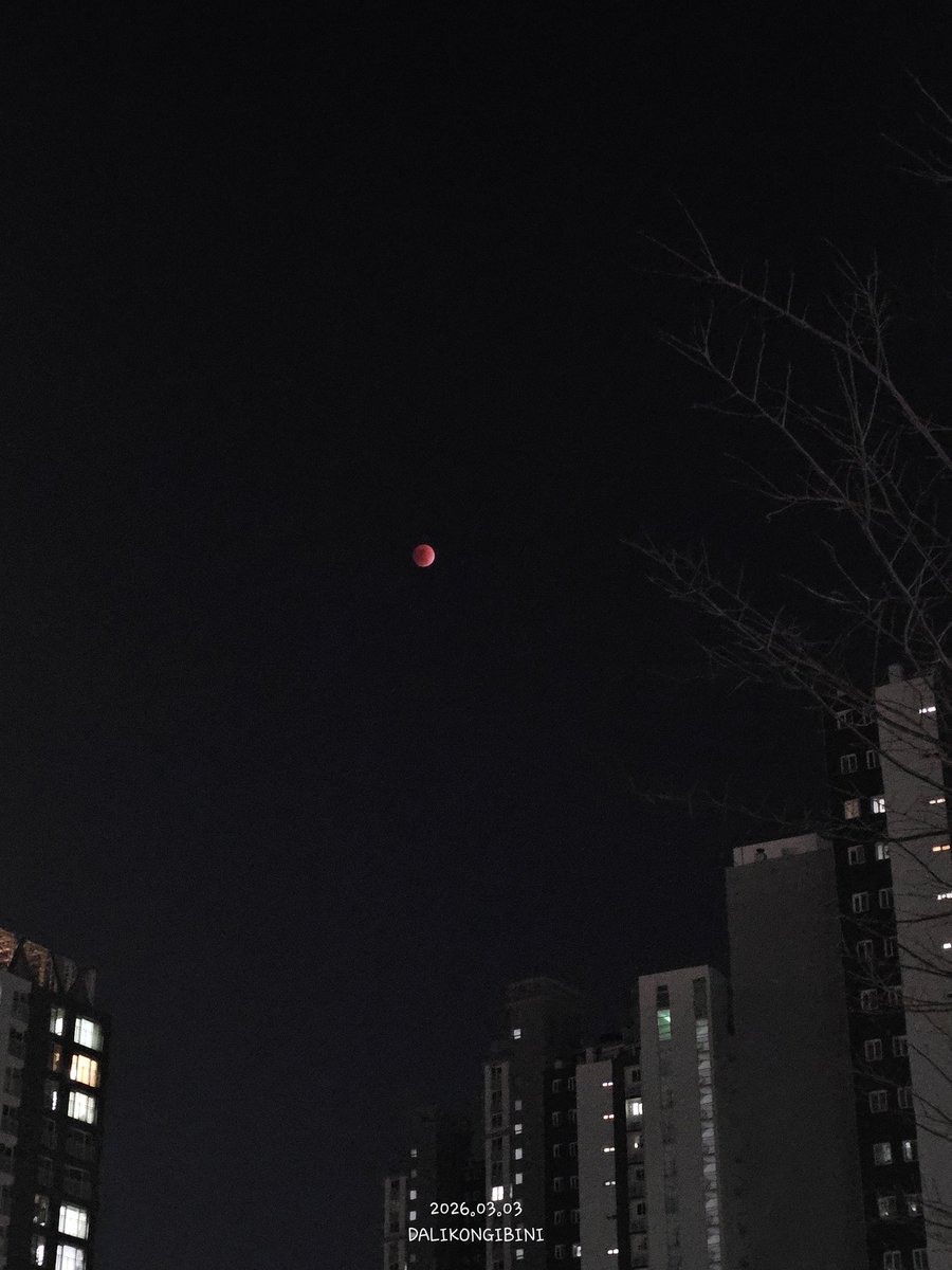 (콩프)달이콩이빈이🌙🫛 tweet media