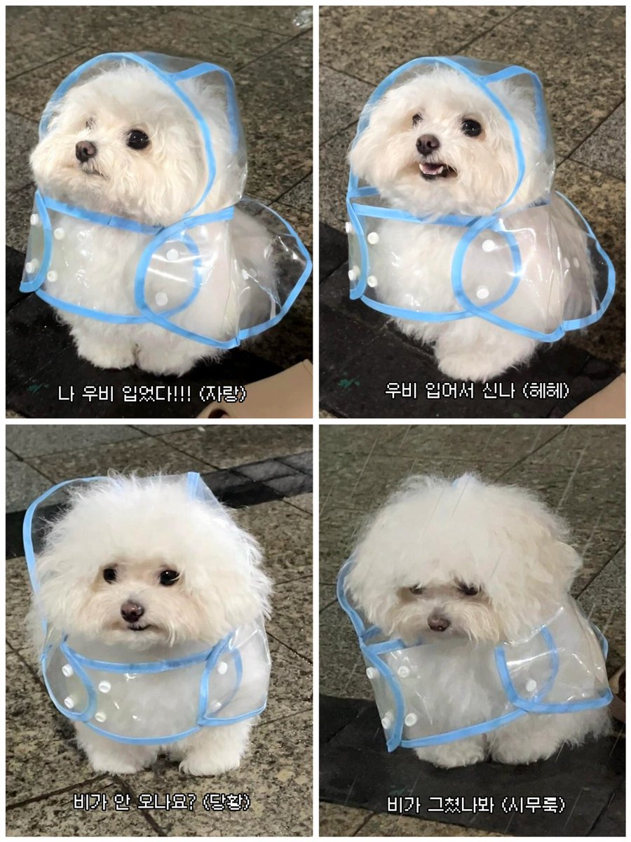 🅲🅾🅼🅴🆃 tweet media