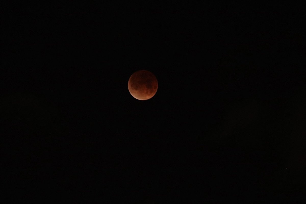 MatildaKreider's tweet photo. Lunar eclipse from downtown Denver! https://t.co/T9wWYMbwYW