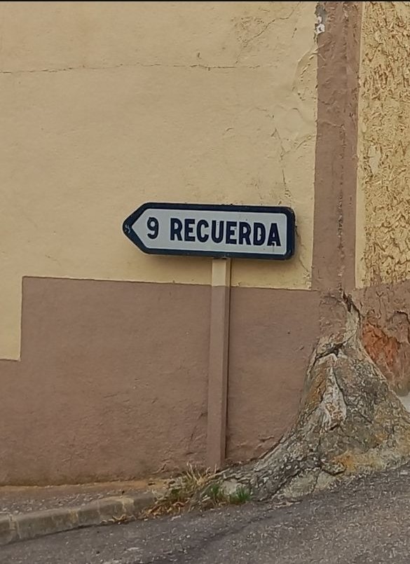 "Lo que no se siente no se recuerda, porque sin emoción no hay memoria".
Siri Hustvedt