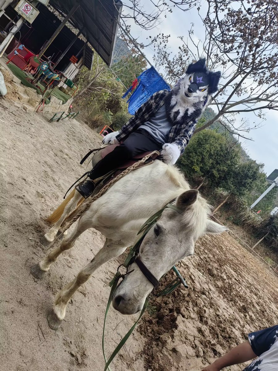 胡椒种子 tweet media