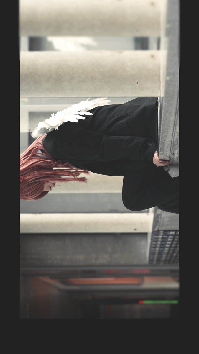 めがねこ tweet media