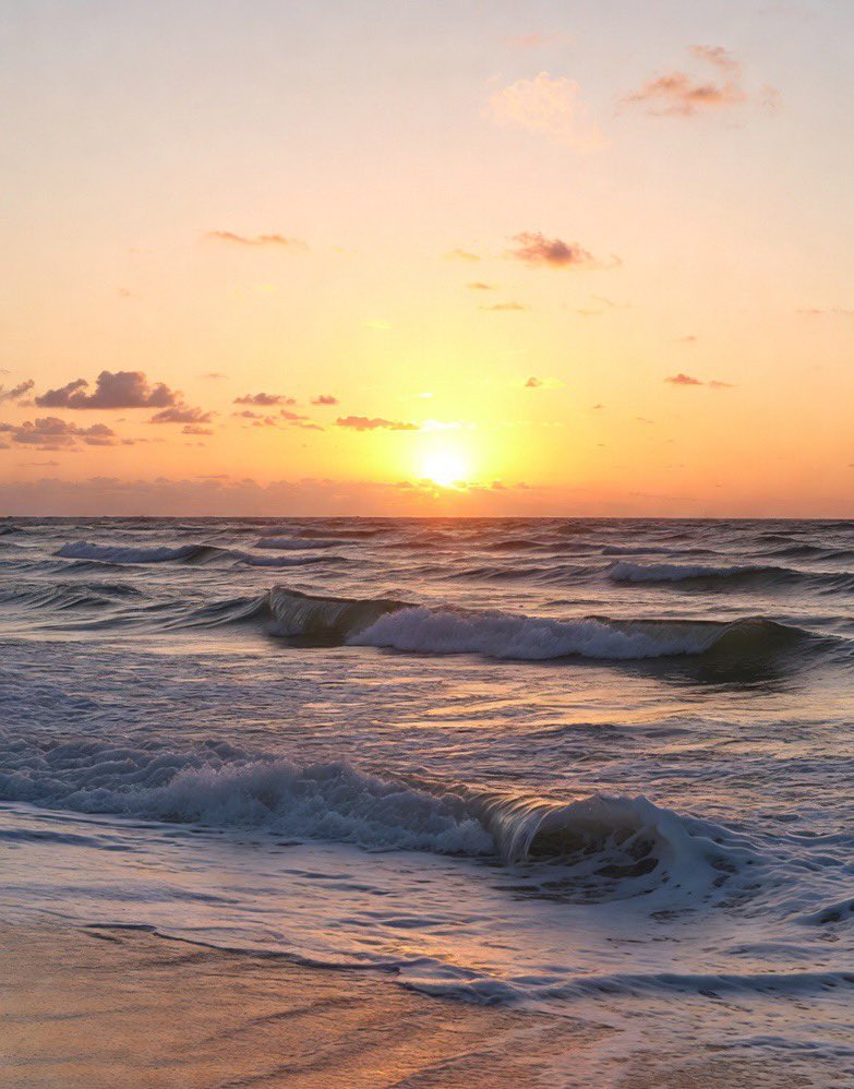 Lisa🌺 tweet media