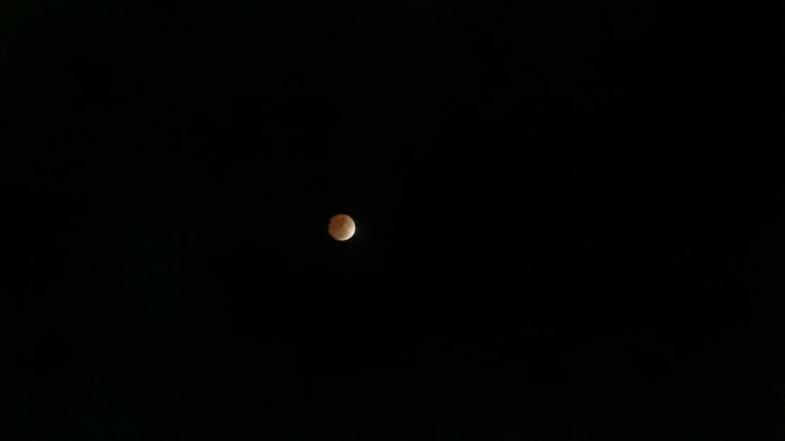 今夜は『ブラッドムーン（赤くて赤くてあやしい月）』を見るために、
３０分ほどベランダにしがみついていました！
無事、雲のスキマから見ることができました◎
わ〜い！
今夜は月のウサギも赤い姿でしょうか。